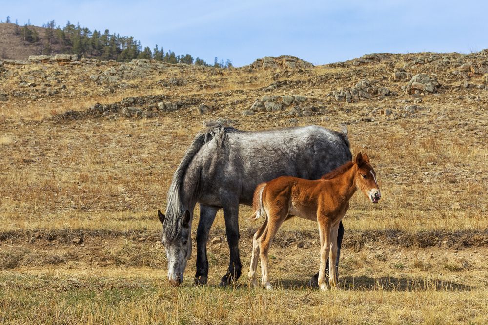 Photograph by Виктор Калинский