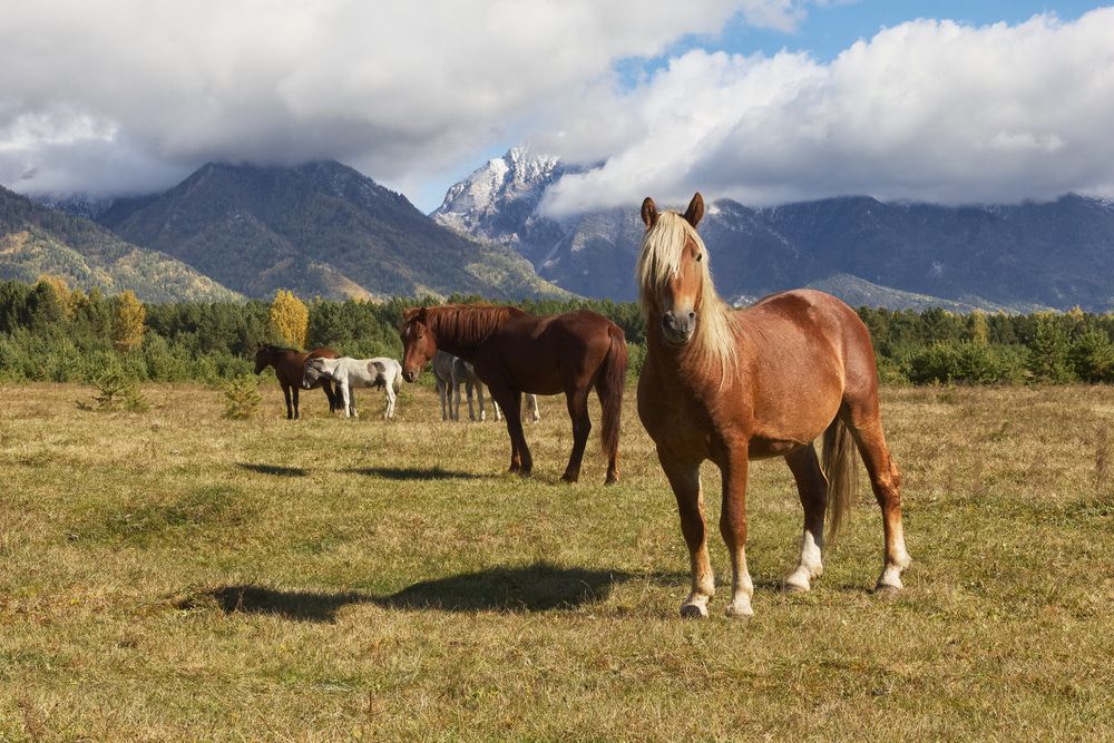 Photograph by Виктор Калинский