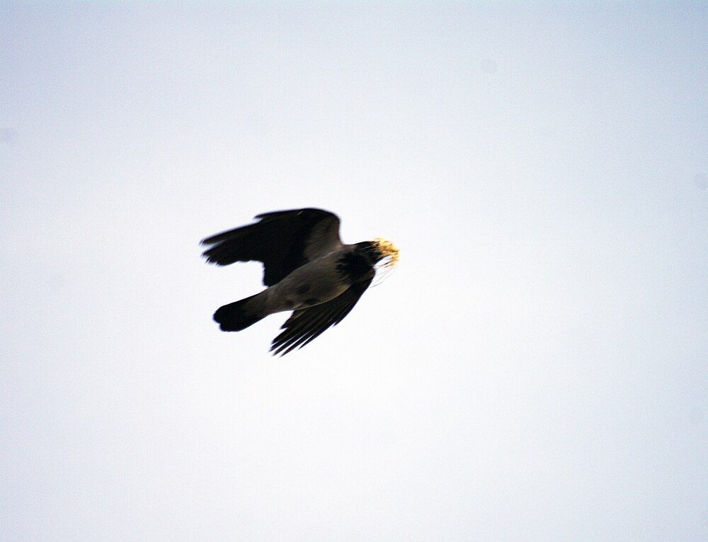 Photograph by Михаил Обертаев