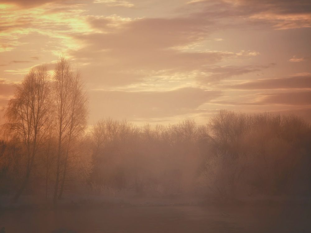 Photograph by Анна Семенова