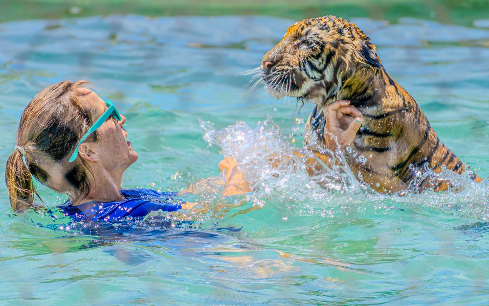 Photograph by Alamkrutha Gamini