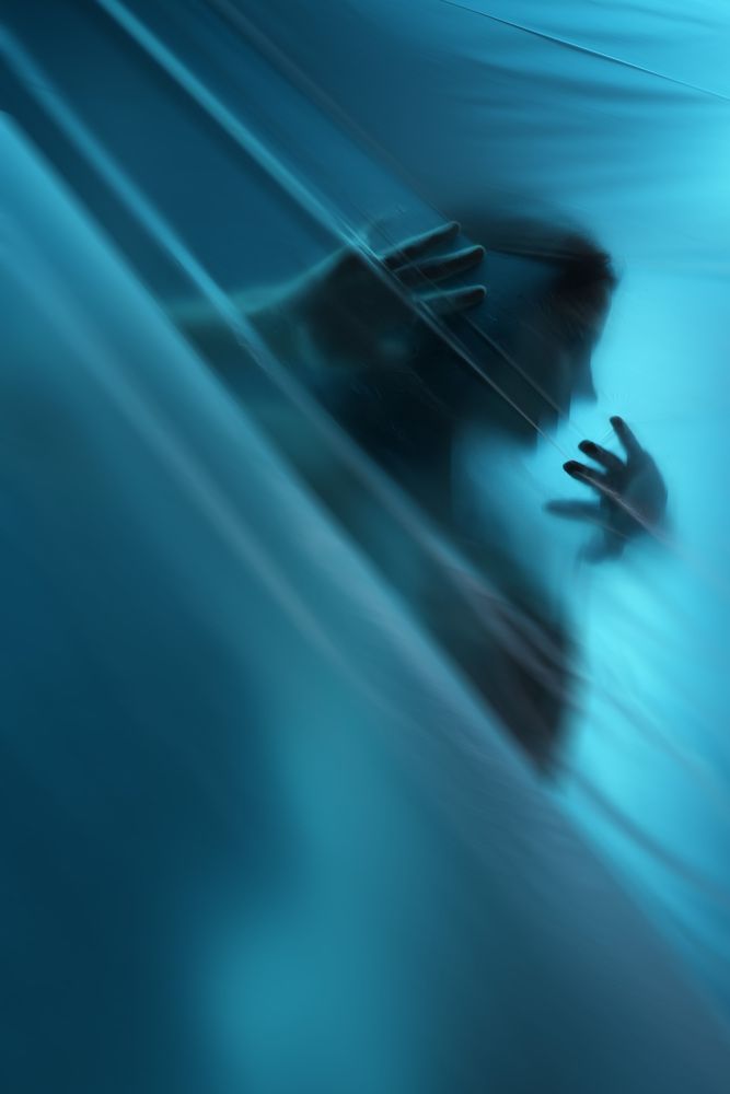 Фотография автора Светлана Зимина