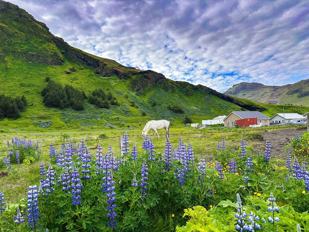 Photograph by Nitin Baste