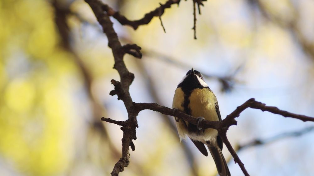 Photograph by Алёна Бондаренко