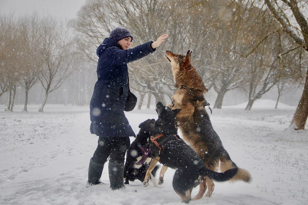 Photograph by Яна Егорова