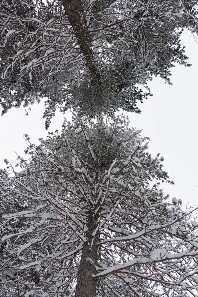 Photograph by Мария Трибакова