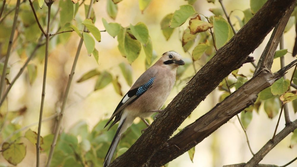 Photograph by Алёна Бондаренко