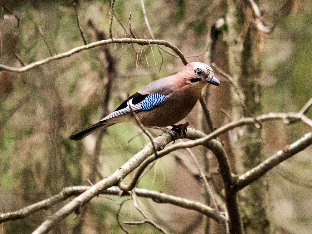 Photograph by Лолита Богачева