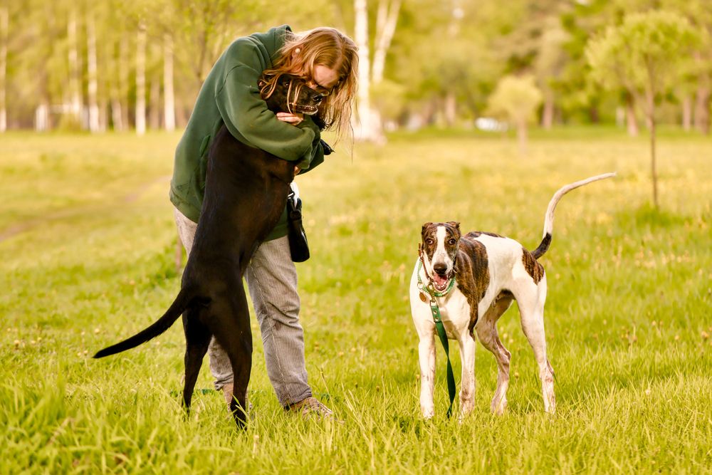 Photograph by Яна Егорова