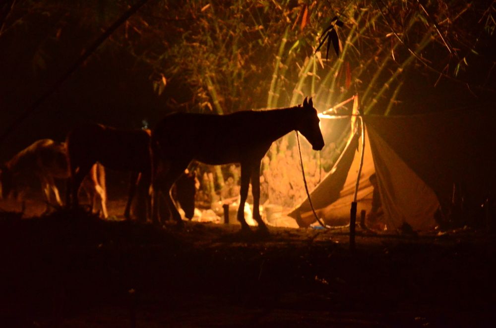 Photograph by ARNAB MITRA