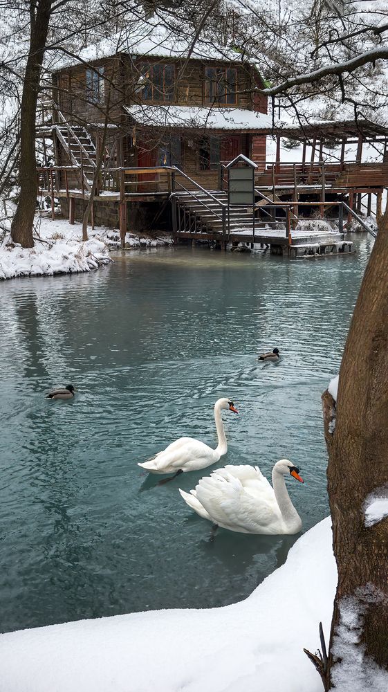 Фотография автора Бурда Юрий