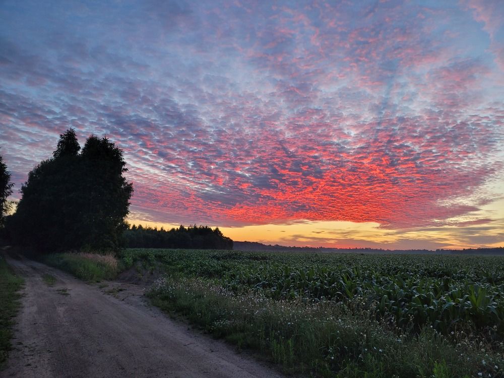 Photograph by Татьяна Гореленкова