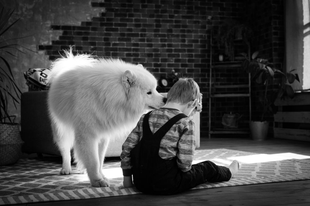 Photograph by Дмитрий Осипчук