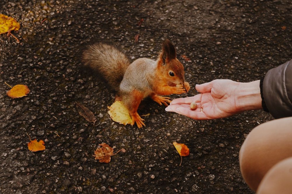 Photograph by Яна Егорова