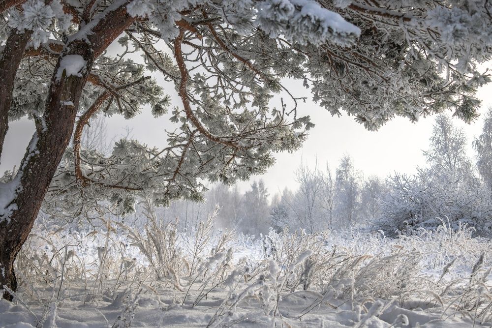 Фотография автора Хабаров Сергей