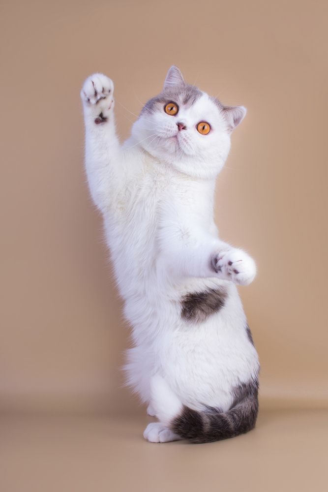 Photograph by Стрижаченко Инга