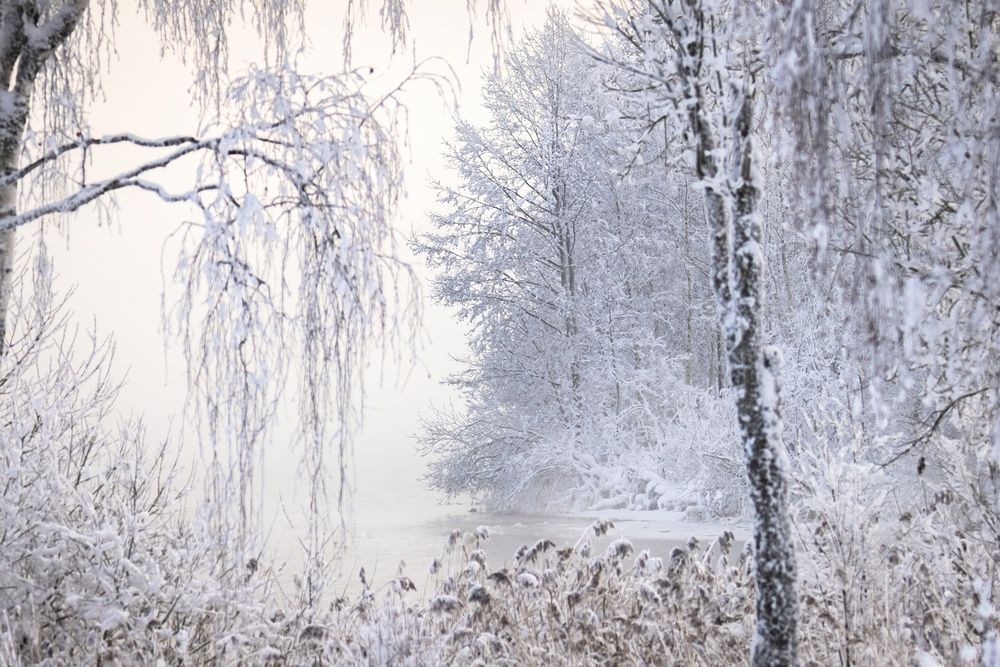 Фотография автора Хабаров Сергей