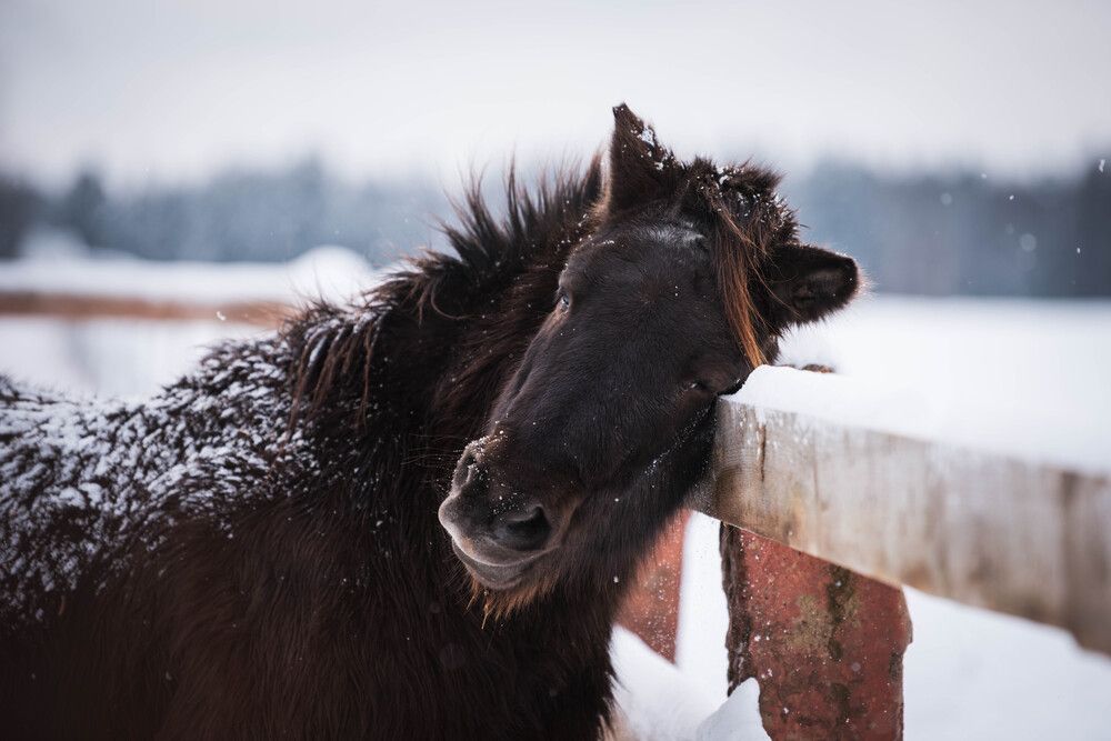 Photograph by Светлана Блинова