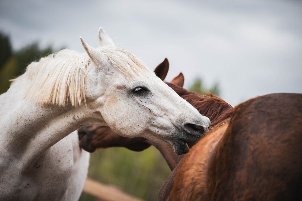 Photograph by Светлана Блинова