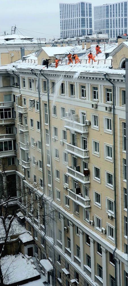 Photo #13124506