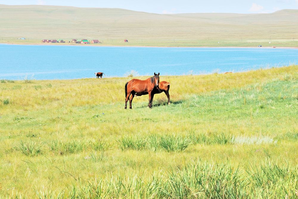 Photograph by Юрий Тимофеев