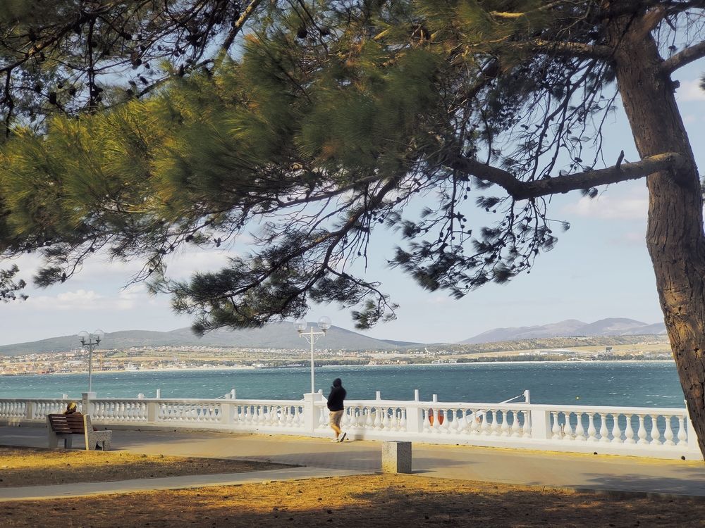 Photograph by Алла
