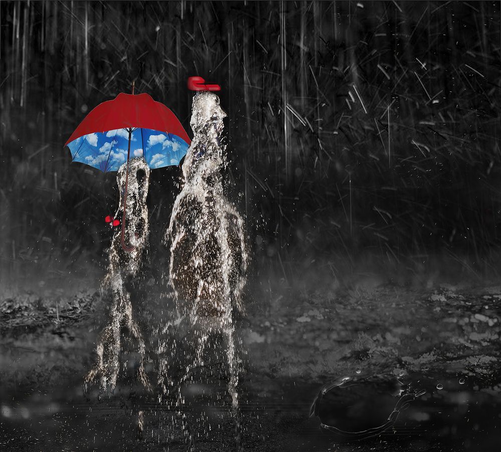 Photograph by Елена Григорович