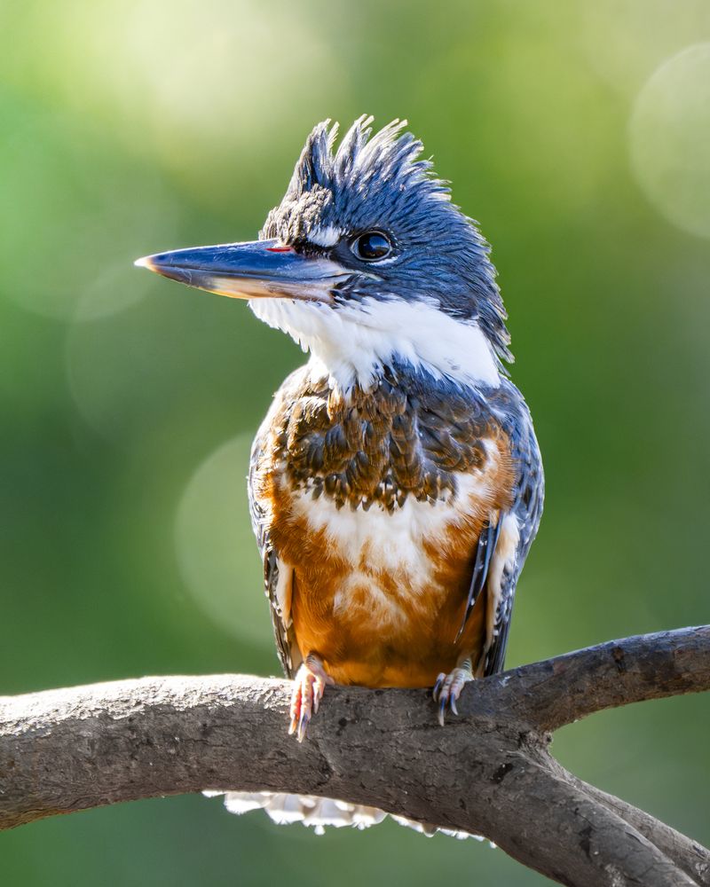 Photograph by Felipe Vasquinho