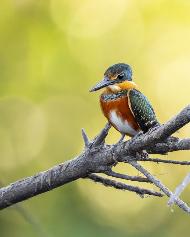 Photograph by Felipe Vasquinho