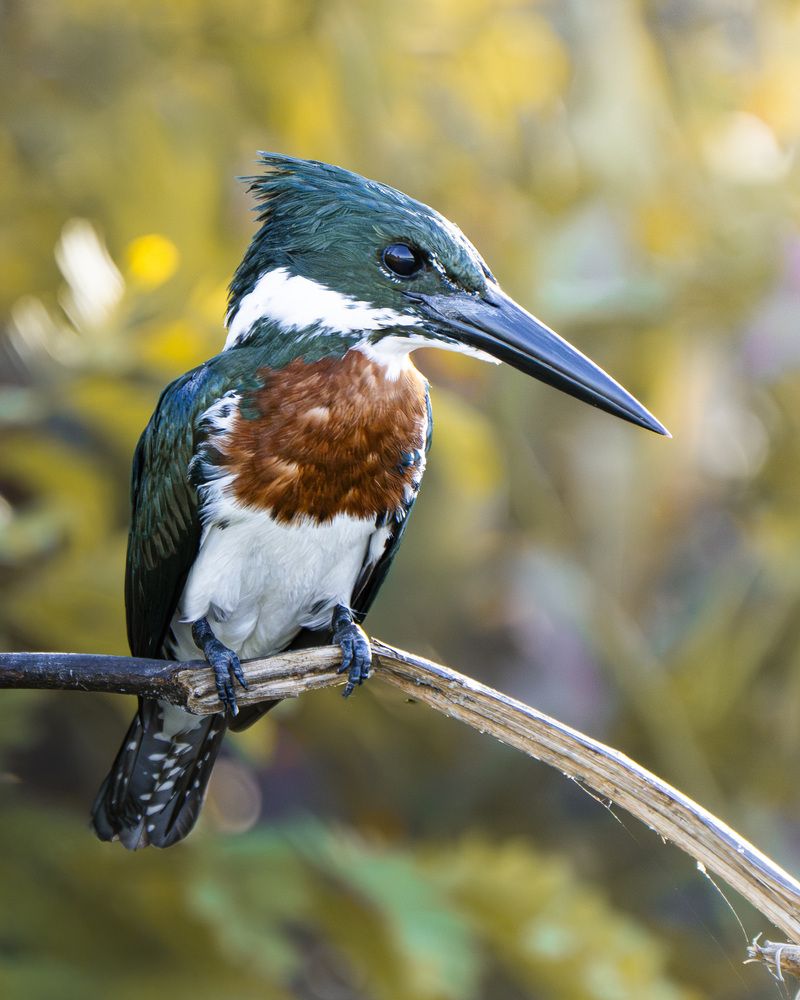 Photograph by Felipe Vasquinho