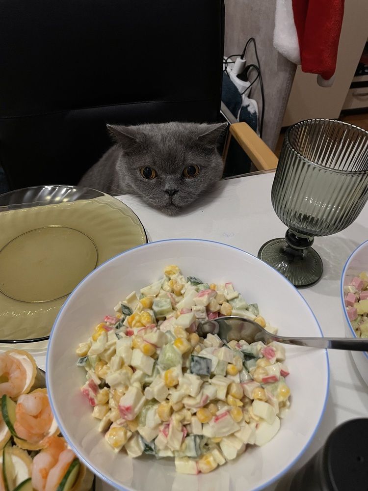 Фотография автора Ахмадеева