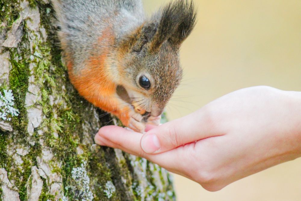 Photograph by Иван Бортяков