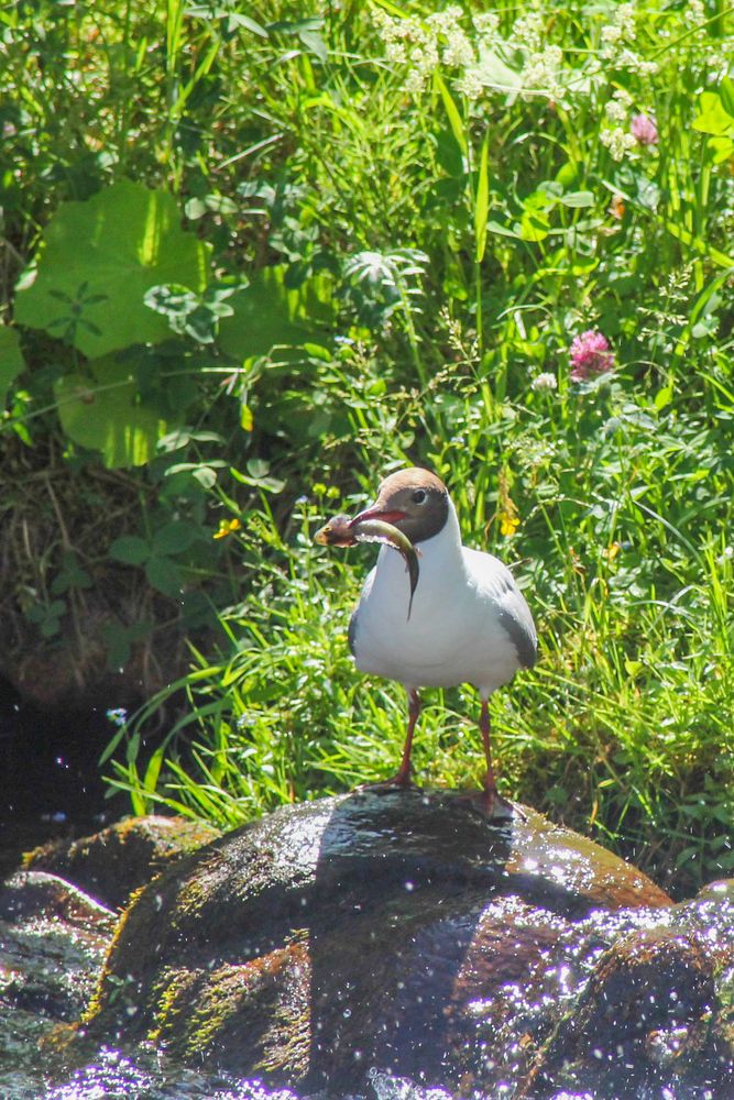 Photograph by Иван Бортяков