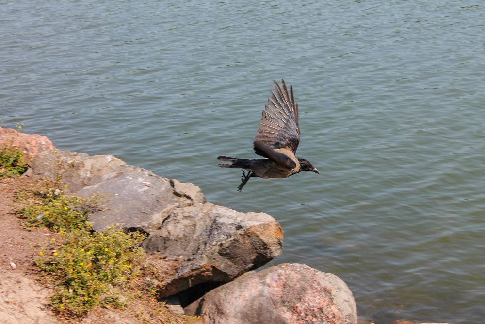 Photograph by Иван Бортяков