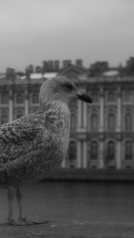 Photograph by Иван Бортяков