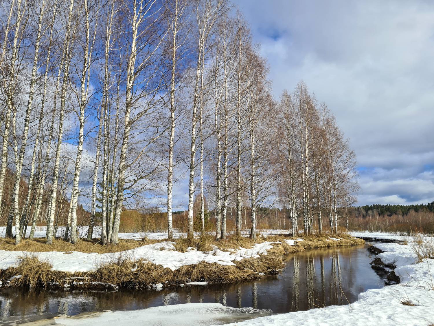 Photo #13124601