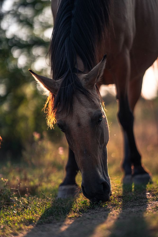 Фотография автора Артём Гуцалюк