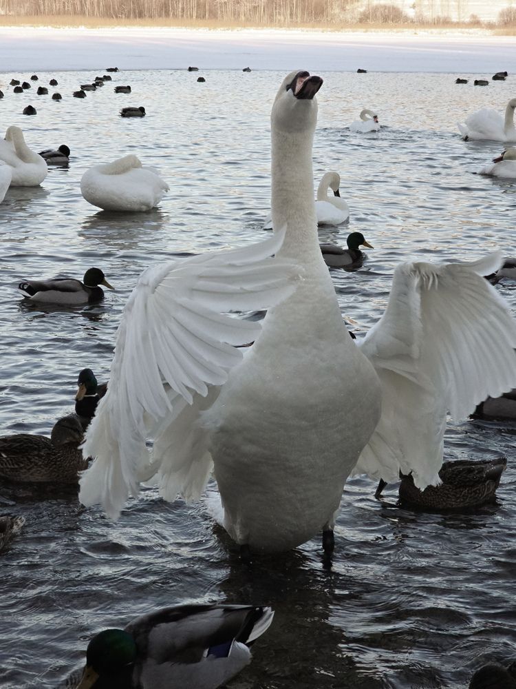 Photograph by Ирина Хлебникова