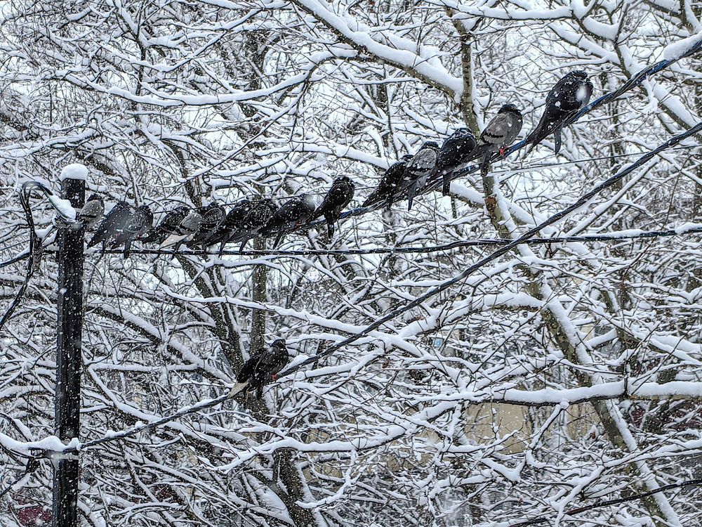 Photograph by Евгений Симион