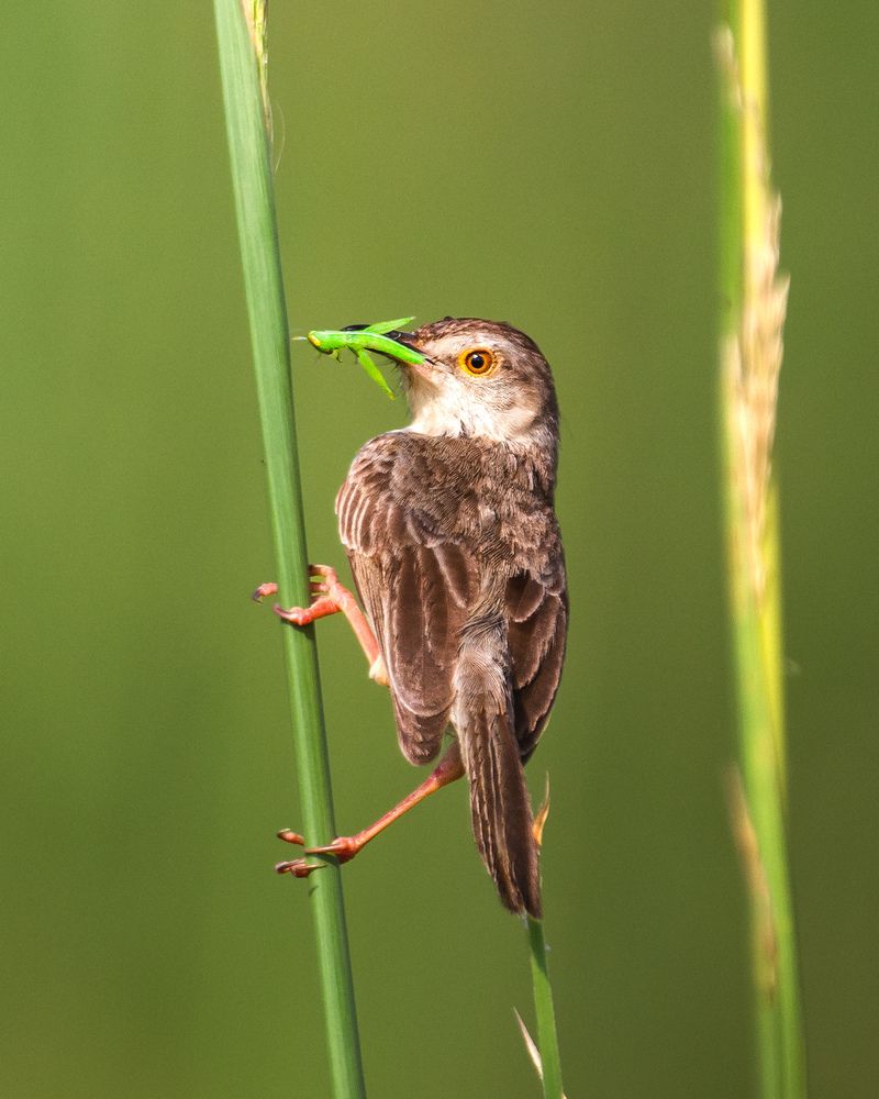 Photograph by Madhurya Mozumder