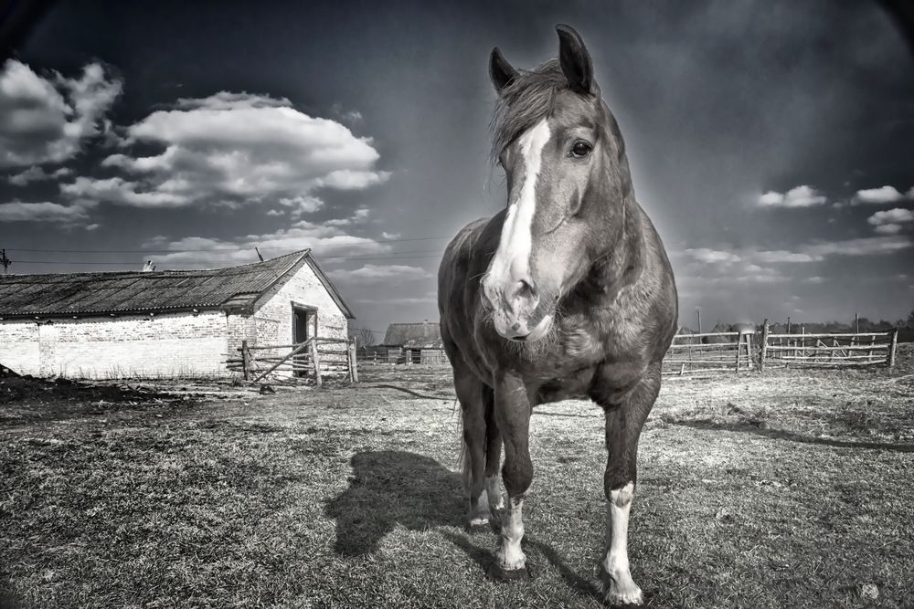 Фотография автора Юлия Кранина