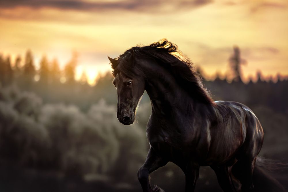 Photograph by Tereza Krestová