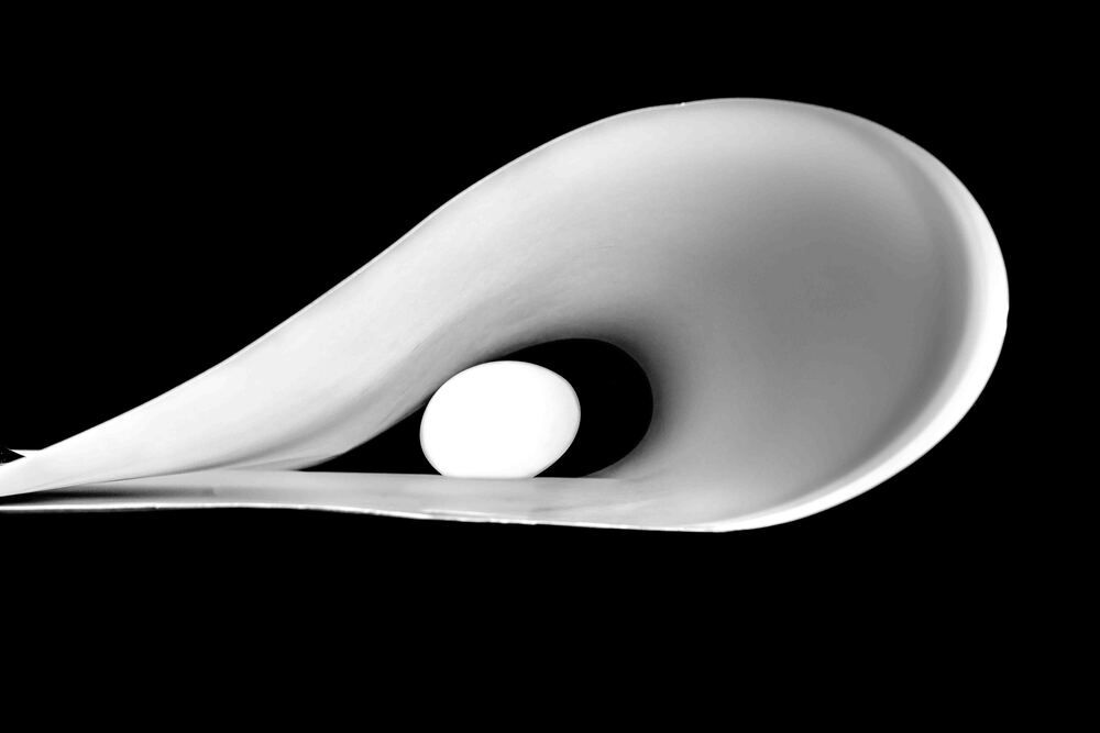 Photograph by Maribel Pérez Velázquez