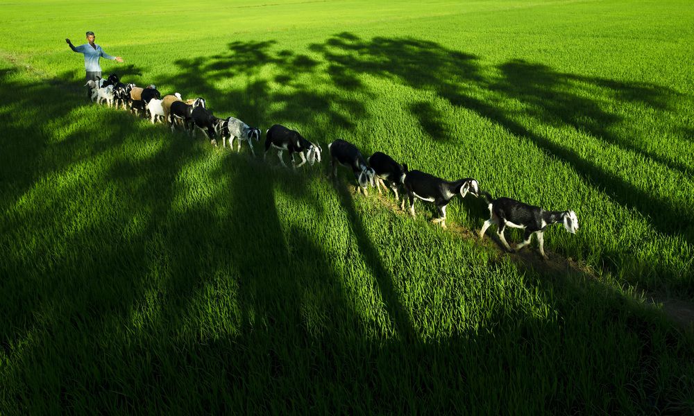 Photograph by Tran Thao