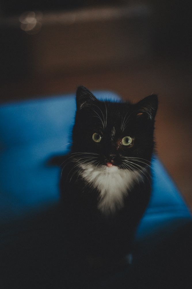 Photograph by Наталья Исаенко