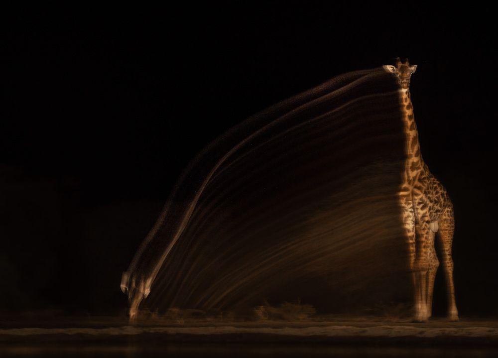 Thirst\'s Arc