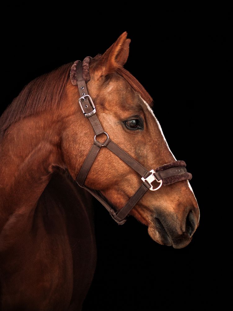 Photograph by Bő Veronika