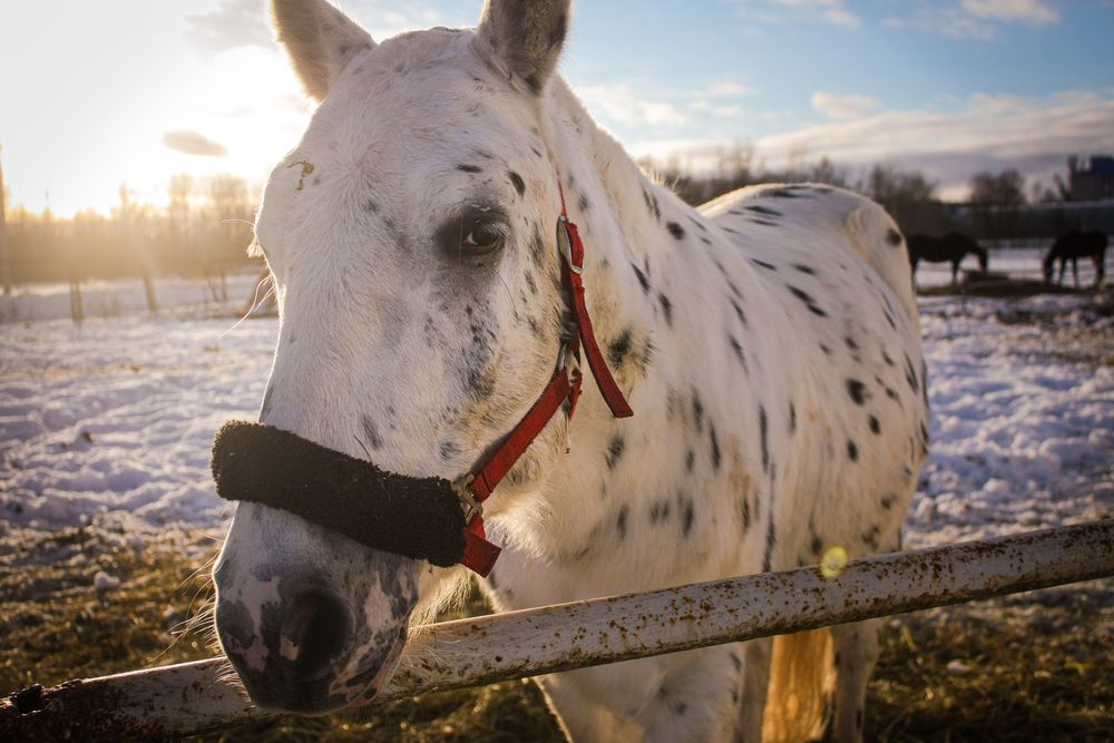 Photograph by Надежда Сидорова