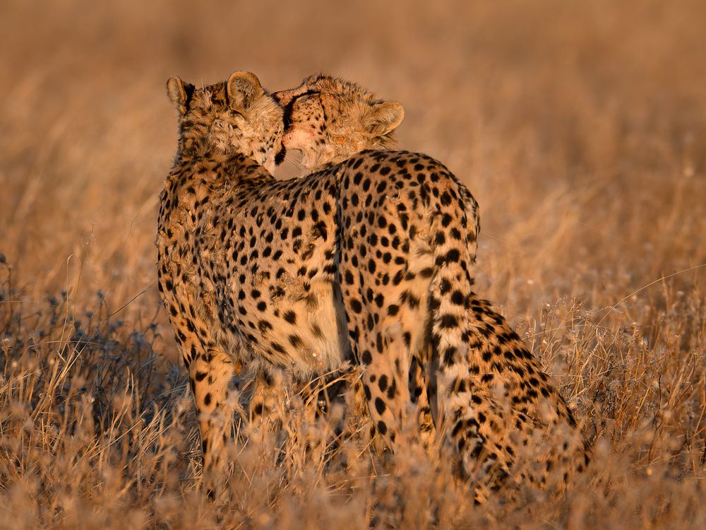 Photograph by Nikolay Slutskiy