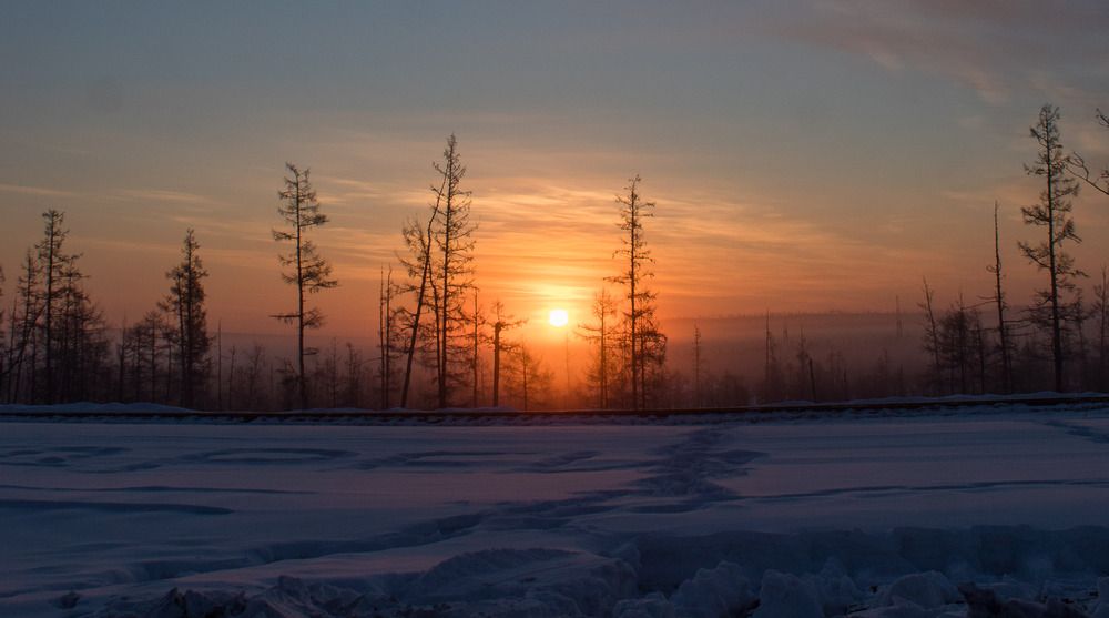 Photograph by Михаил Мархинин